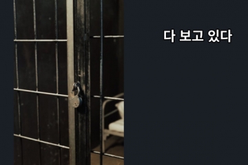 다 보고 있다