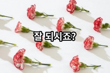 잘 되시죠?